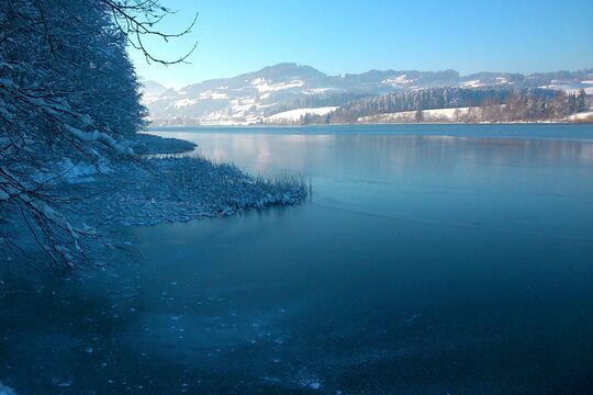 Winterwandern am Niedersonthofener See